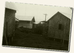 Houses in Jonestown