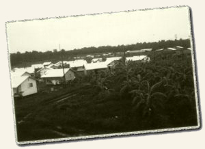Houses in Jonestown, May 1979