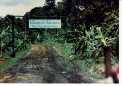 The Jonestown Report, November 2007, Volume 9
