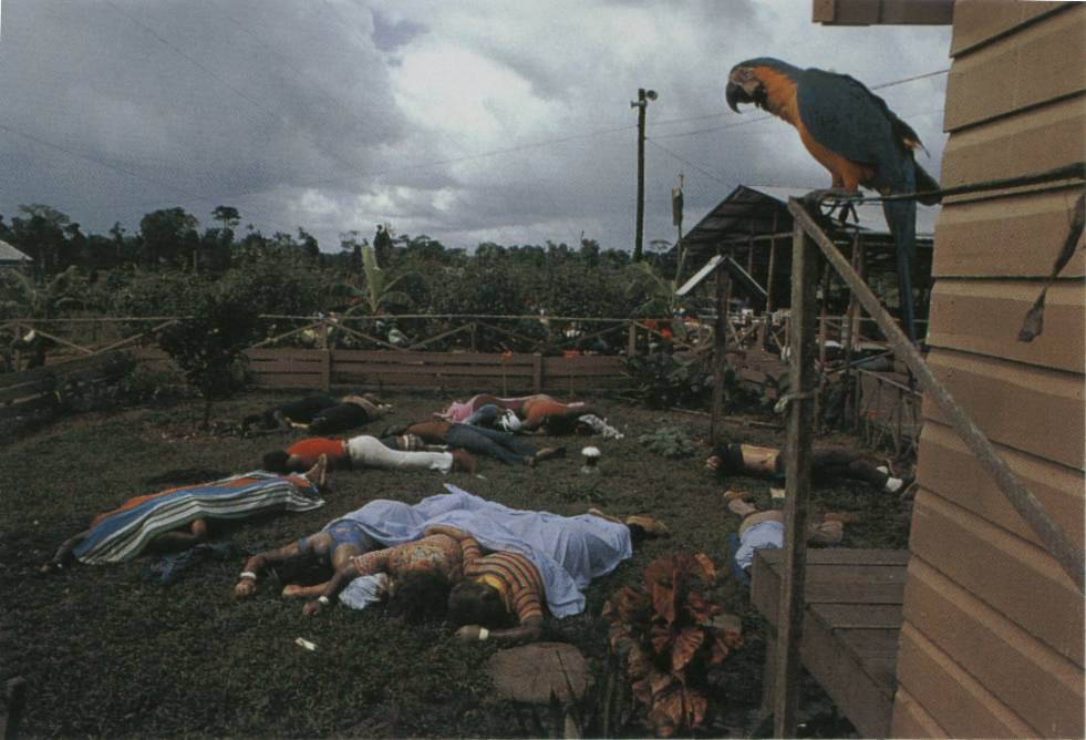 [Jonestown+dead+with+parrot.jpg]