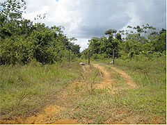 Entry to Jonestown, 2008