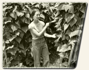 Carolyn Moore Layton with cutlass bean plant, Jonestown, May 1978
