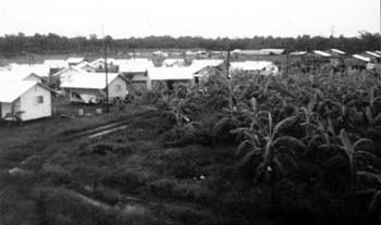 Jonestown Houses